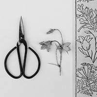 Black and white photograph showing a pair of scissors and a paper flower alongside floral border.