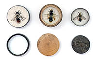 Three stitched and felted bees in small round cases.