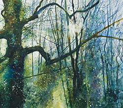 Coloured print featuring light shining through trees.