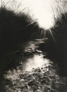 Charcoal drawing with the sun shining through the trees.